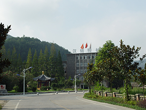立式螺帶混合機(jī)-日本大野機(jī)械產(chǎn)品
